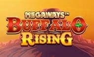 Buffalo Rising Megaways slot