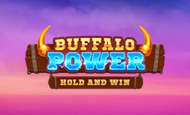 Buffalo Power: Hold and Win slot