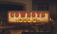 cowboys gold slot