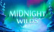 Midnight Wilds