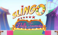 Slingo Fluffy Favourites slot