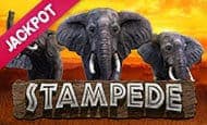 Stampede Jackpot slot