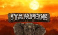 Stampede